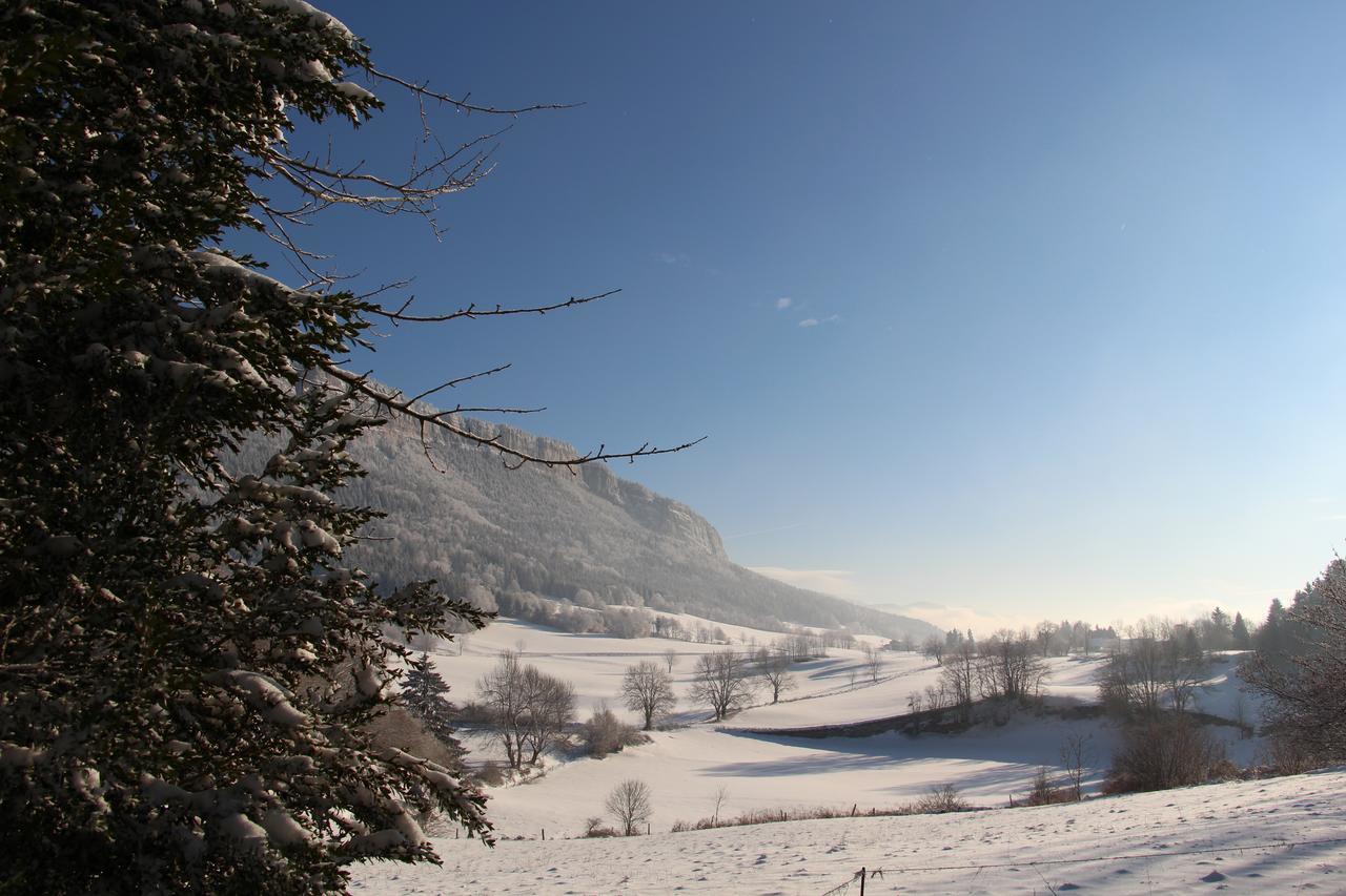 Cafe Brochier Hotel Saint-Julien-en-Vercors 外观 照片